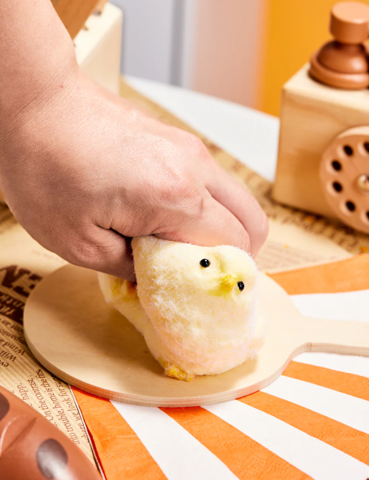 Pollito squeezy